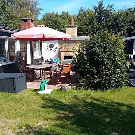 Charming Summer House With A Large Sunny Garden *